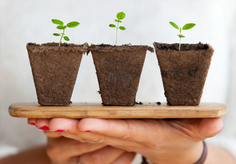 Building A Sustainable Business! A Path To A Greener Future